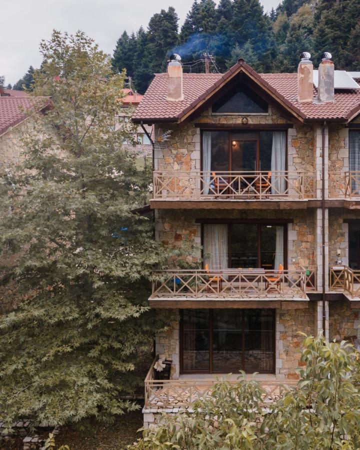 Parnassus Dreamwood Chalet Eptálofosz Kültér fotó