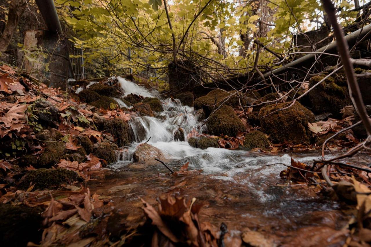 Parnassus Dreamwood Chalet Eptálofosz Kültér fotó